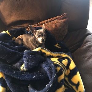 Meet your Posher, Christy